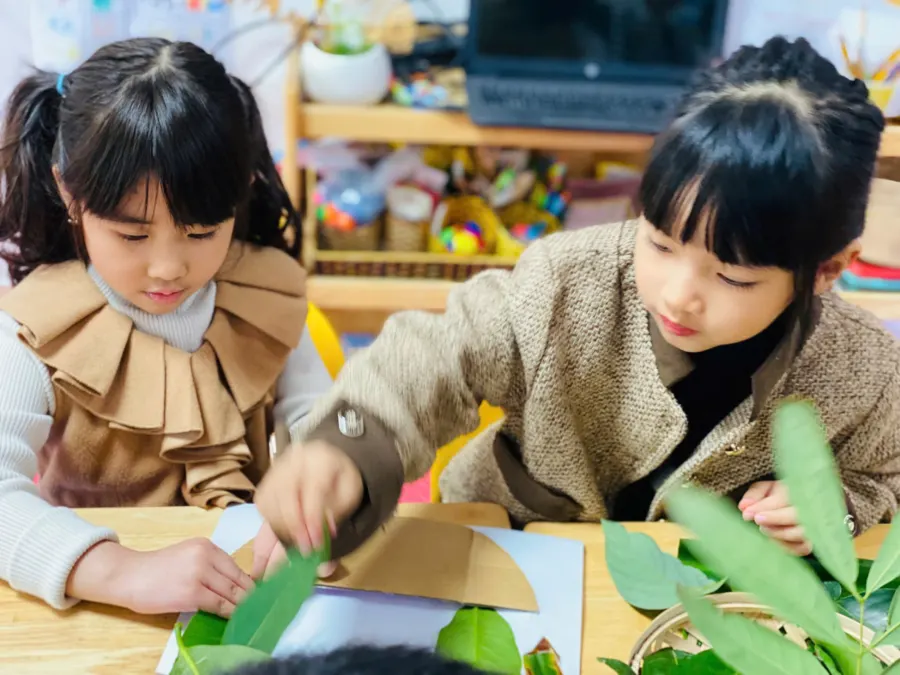 Trường Mầm Non Chất lượng cao BiBo (BiBo Preschool)
