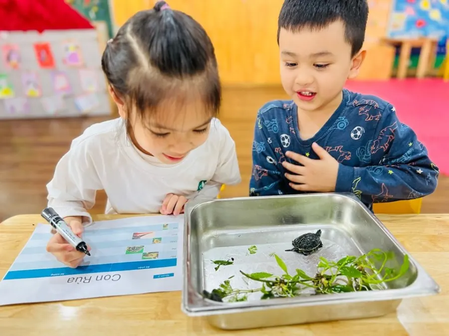 Trường Mầm Non Quốc Tế Vimeco Kindergarten