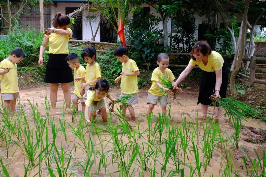 Trường mầm non APLUS - Dịch Vọng, Cầu Giấy