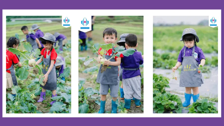 Mầm Non RubyKids - Mỗ Lao, Hà Đông