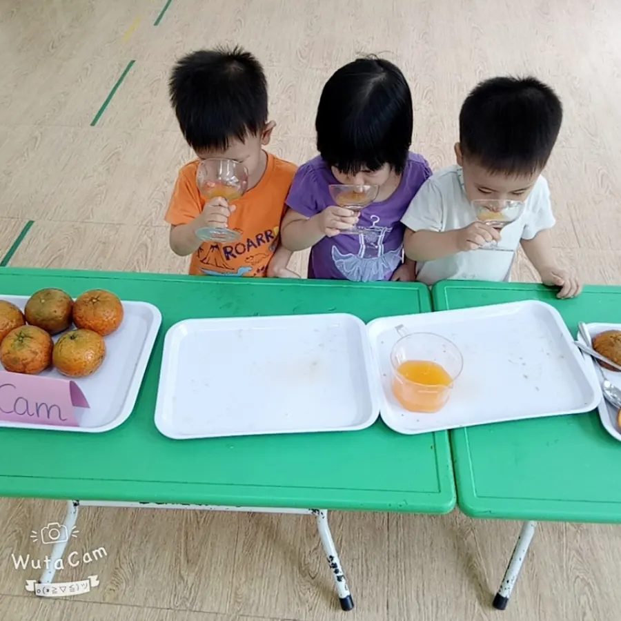 Trường mầm non Nguồn Sáng - Mộ Lao Hà Đông