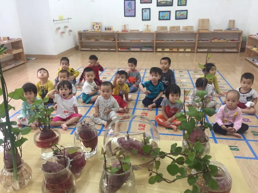 Trường mầm non Nguồn Sáng - Mộ Lao Hà Đông