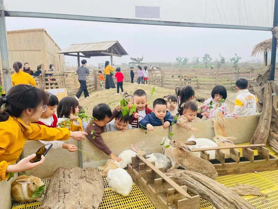 Trường Mầm Non Ngôi Nhà Ấm Áp (Cozy House) - CS3