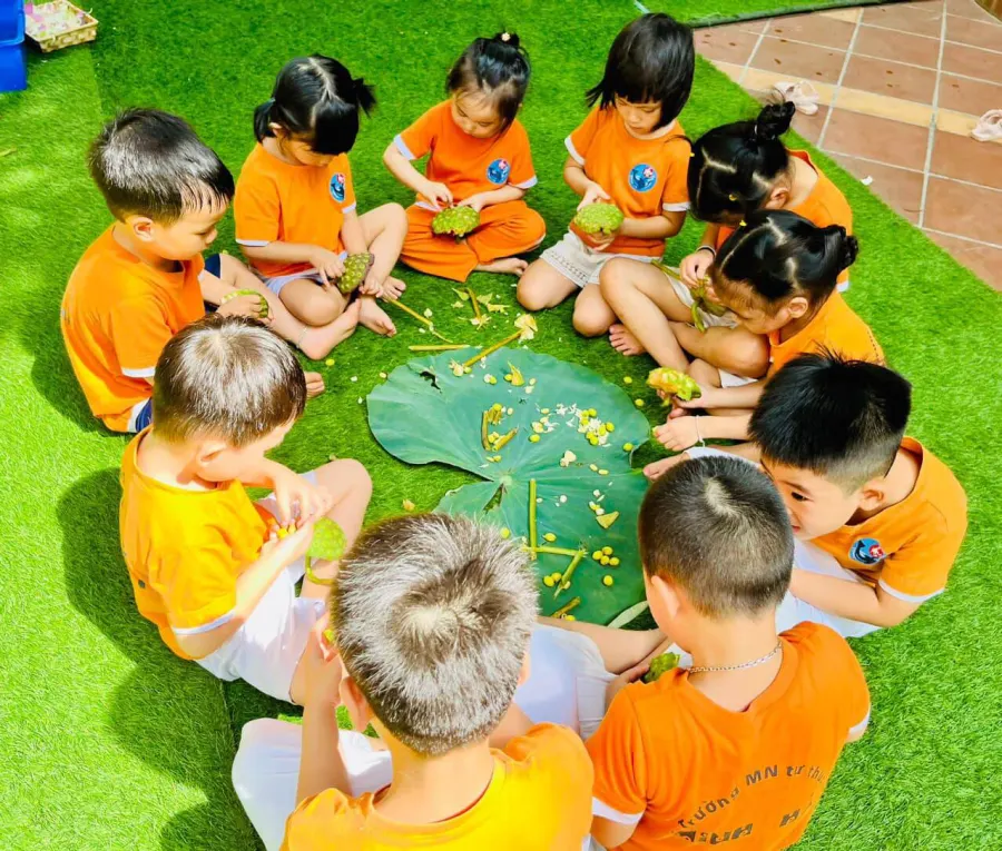 Trường Mầm Non Minh Hải
