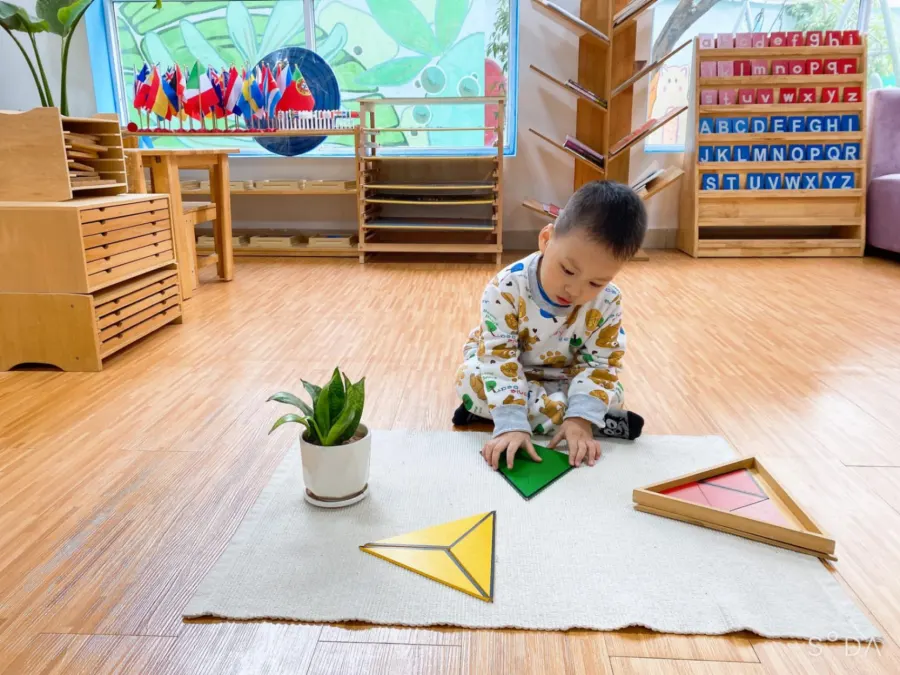 Hệ Thống Mầm Non Hoa Quỳnh - Lâu Đài Xanh