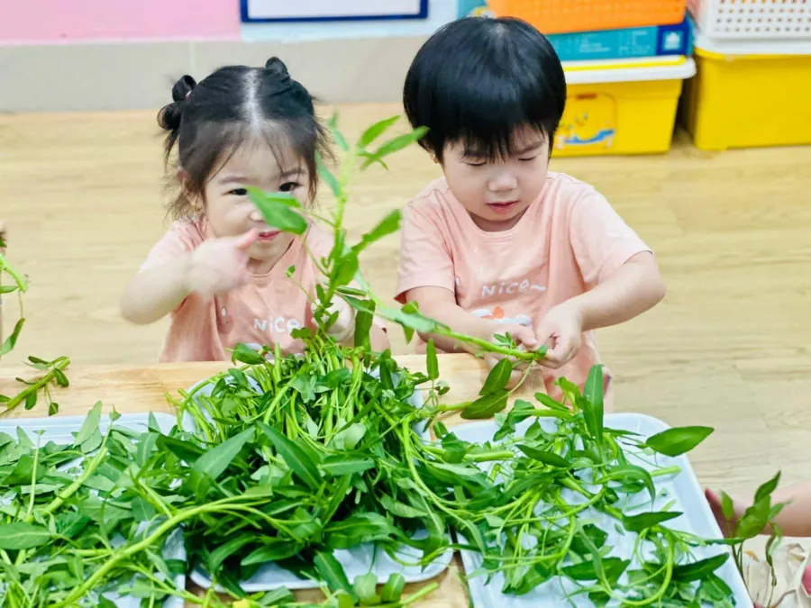 Trường Mầm Non Mai Phương - Hoàng Ngân, Thanh Xuân