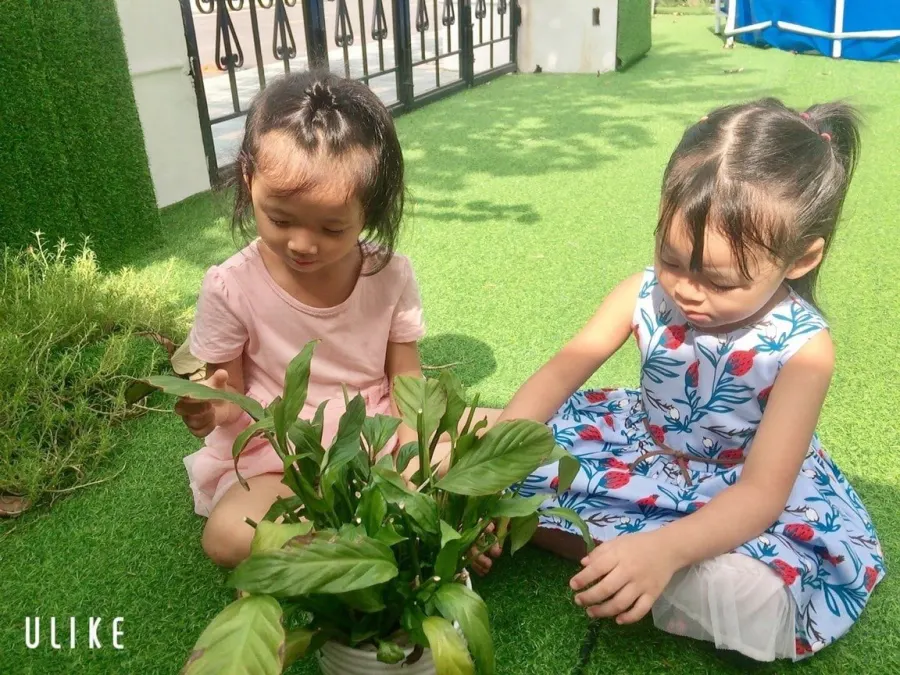 Trường Mầm non Thiên thần Montessori
