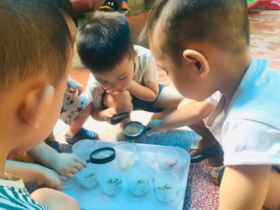 Trường Mầm non Thiên thần Montessori