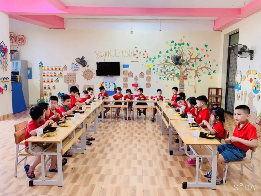 Trường Mầm Non - Tiểu Học DPA