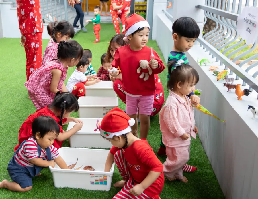 Trường mầm non The FIRST Academy (TFA) - Hà Đô, Cát Lái