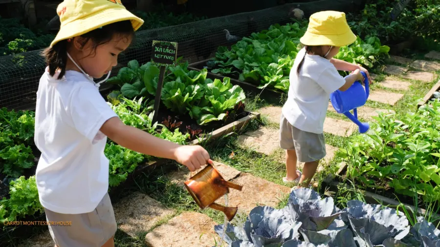 Trường Mầm Non Carrot Montessori House