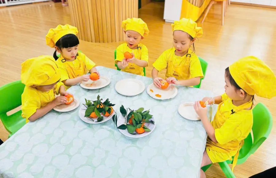 Trường Mầm Non Con Mèo Vàng (Yellow Kitty)