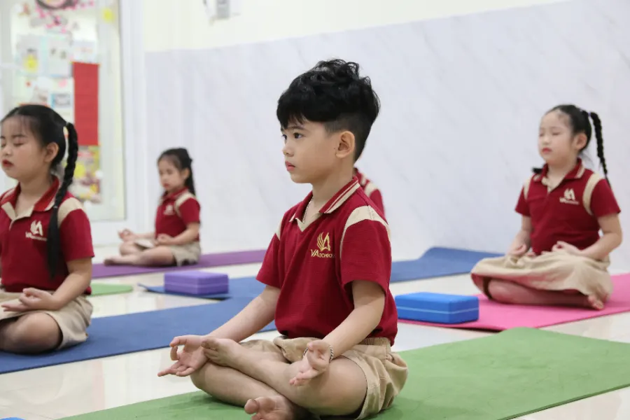 Hệ Thống Trường Việt Mỹ - VA Schools