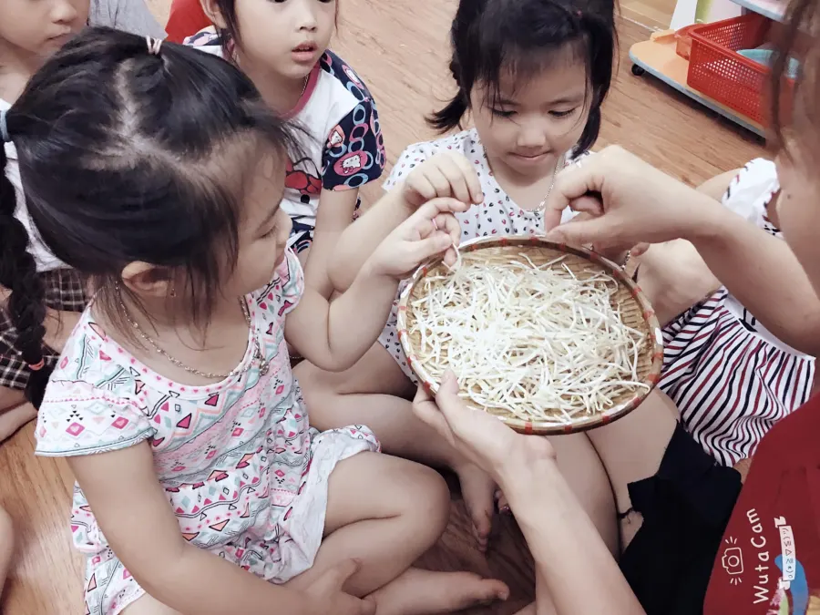 Trường mầm non quốc tế Sunrise (Sunrise KinderGarten)