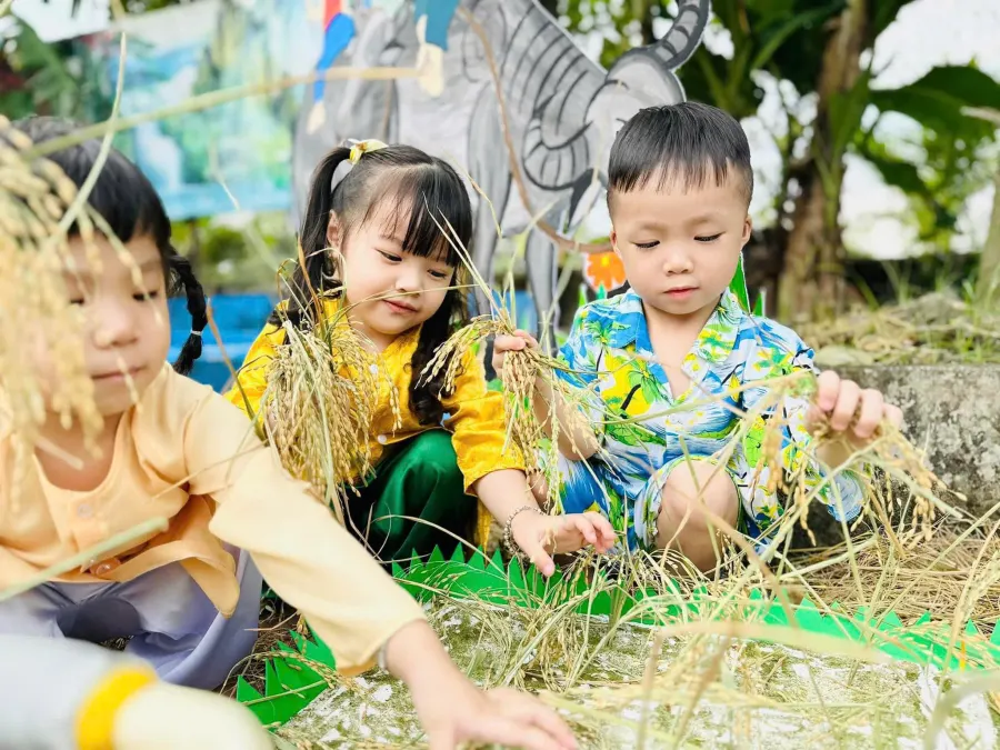 Trường Mầm Non Hạnh Phúc - Phường 9, Cà Mau