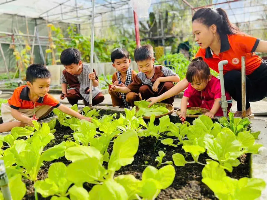 Trường Mầm Non Hạnh Phúc - Phường 9, Cà Mau