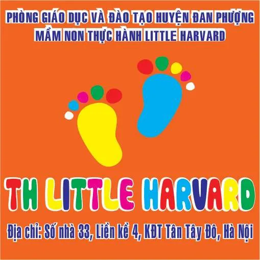 Trường mầm non Thực Hành LITTLE HARVARD