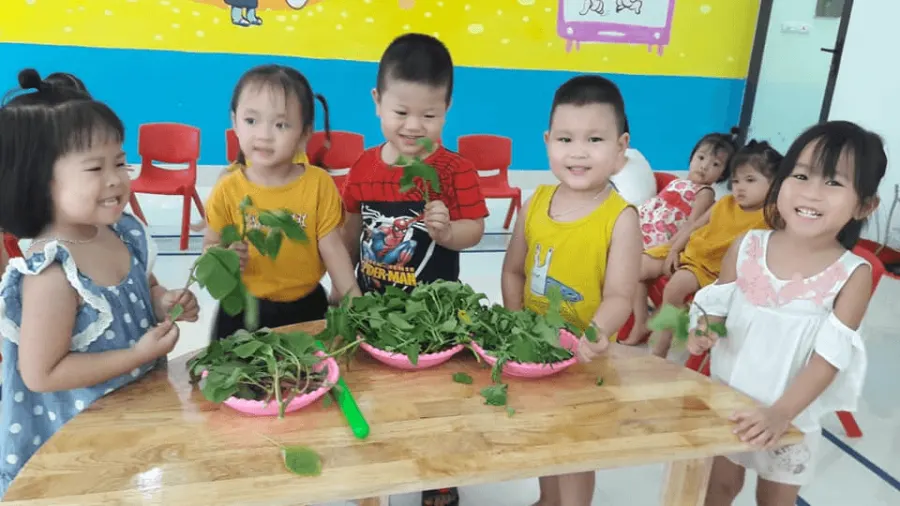 Trường mầm non Smart Montessori - Phan Thiết Tuyên Quang