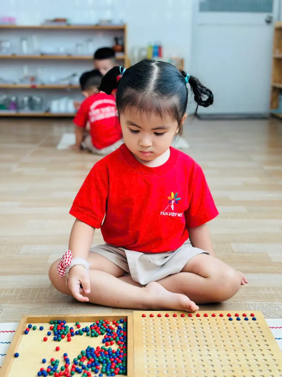 Trường Mầm Non Tân Việt Mỹ