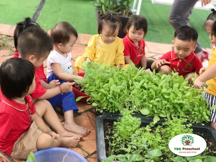 Trường Mầm Non TBS - Montessori