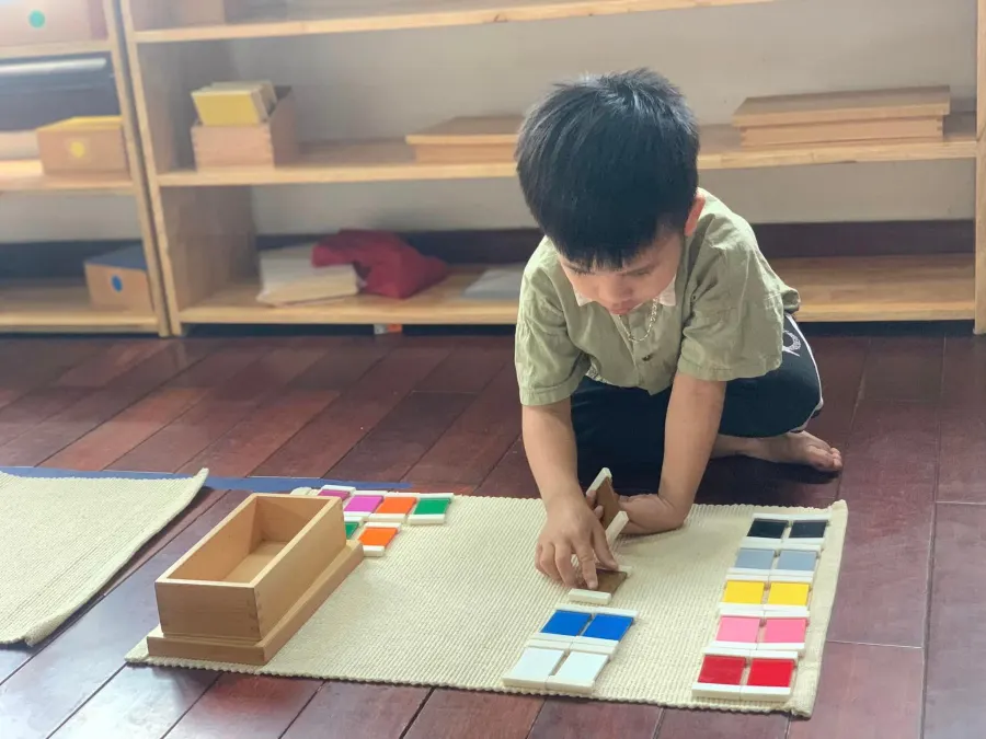 Trường Mầm Non Thỏ Bông Montessori & Steam - Đại Mạch, Đông Anh