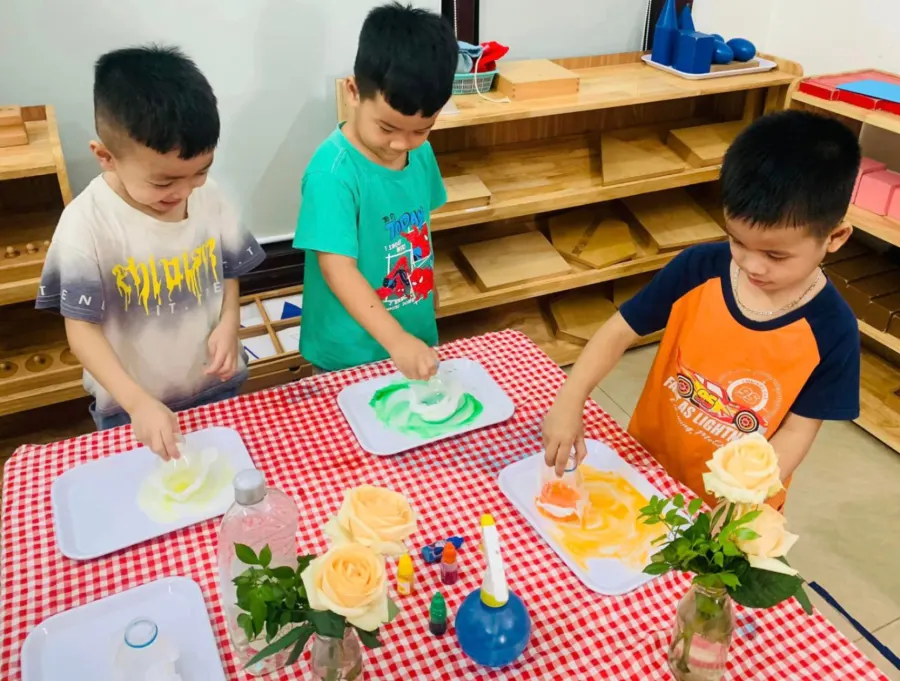 Trường Mầm Non Thỏ Bông Montessori & Steam - Đại Mạch, Đông Anh
