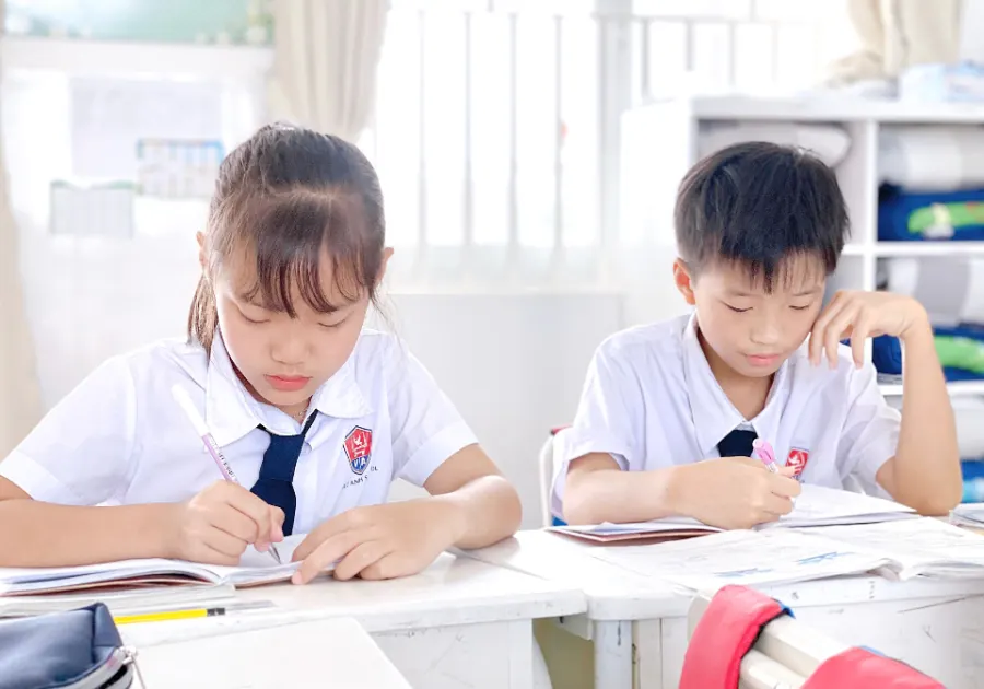 Trường Tiểu học - Mầm non Việt Anh
