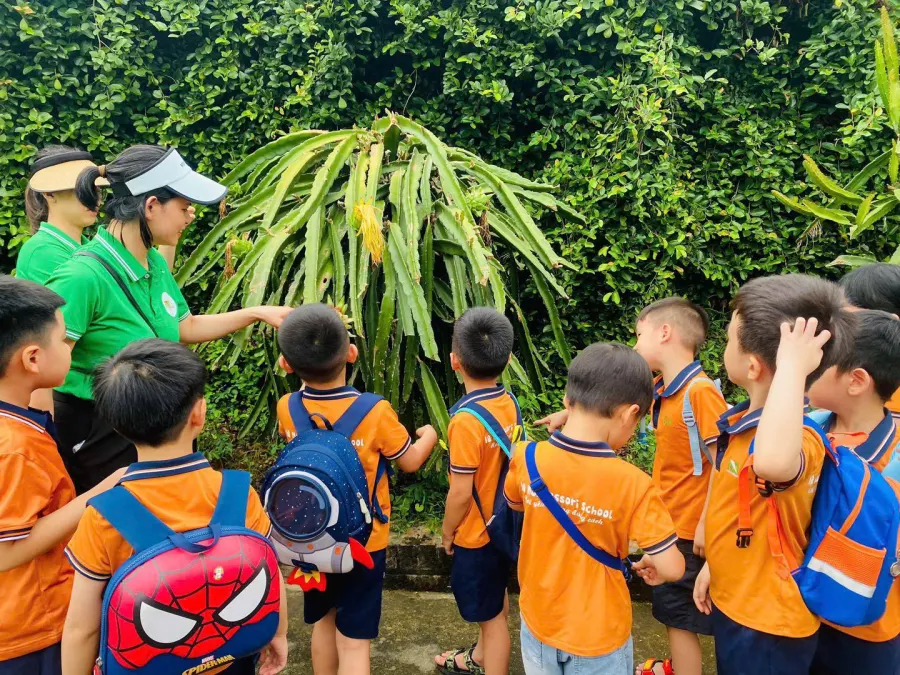 Mầm Non Ai Thông Minh Hơn - IQ Montessori - Gamuda Gardens