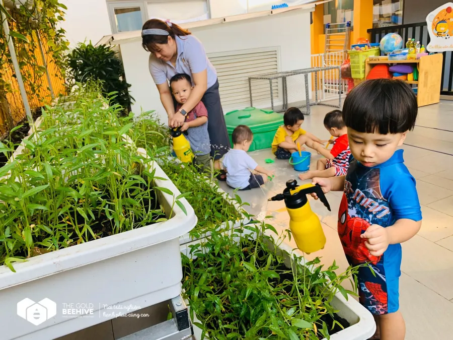 Hệ thống trường Mầm non Song ngữ Tổ Ong Vàng - TGB Preschool - Cơ sở Wilton Bình Thạnh