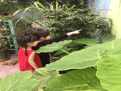 Trường mầm non Phường 14