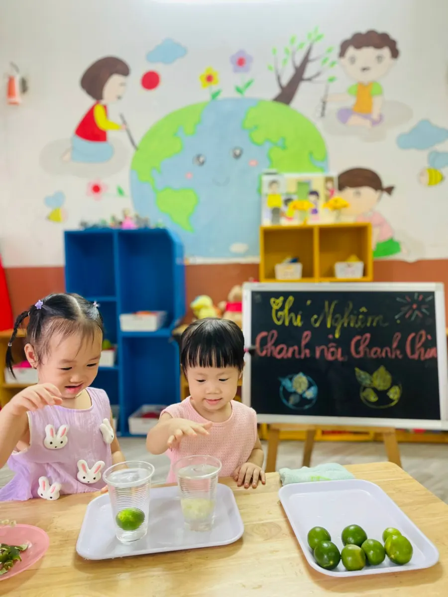 Trường Mầm Non Hoa Phong Lan