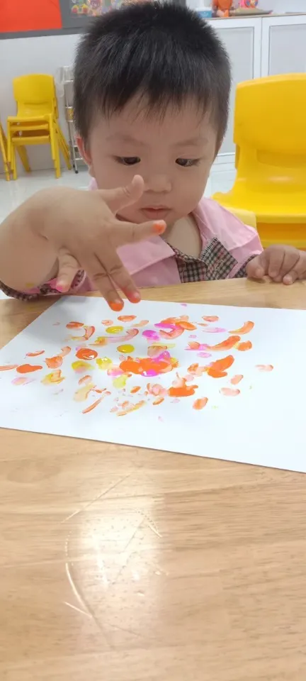 Mầm Non Hạt Giống - The Seed Kindergarten
