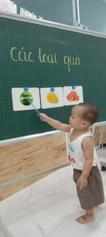Mầm Non Hạt Giống - The Seed Kindergarten