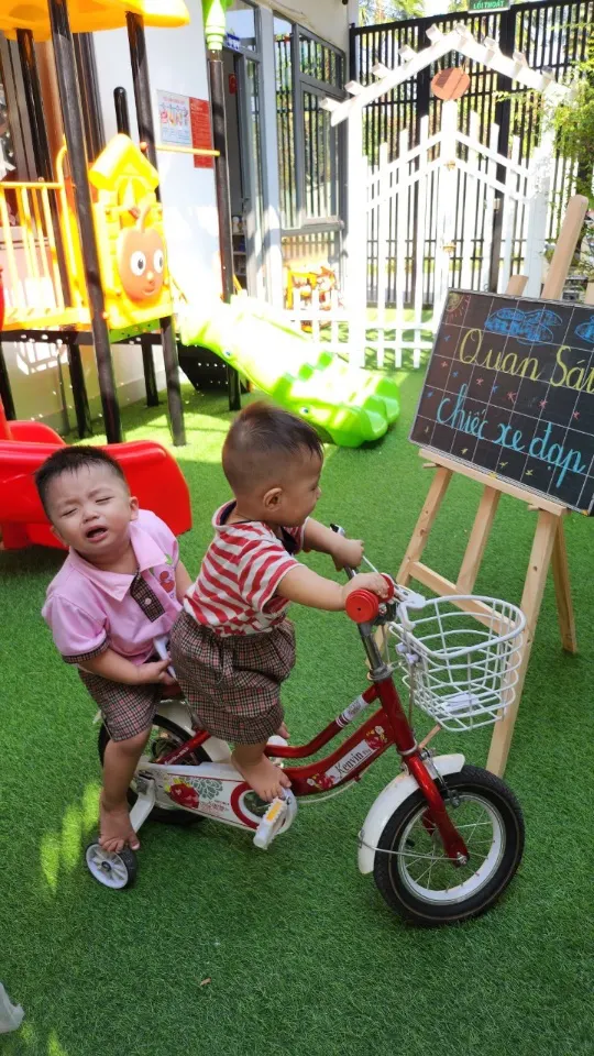 Mầm Non Hạt Giống - The Seed Kindergarten