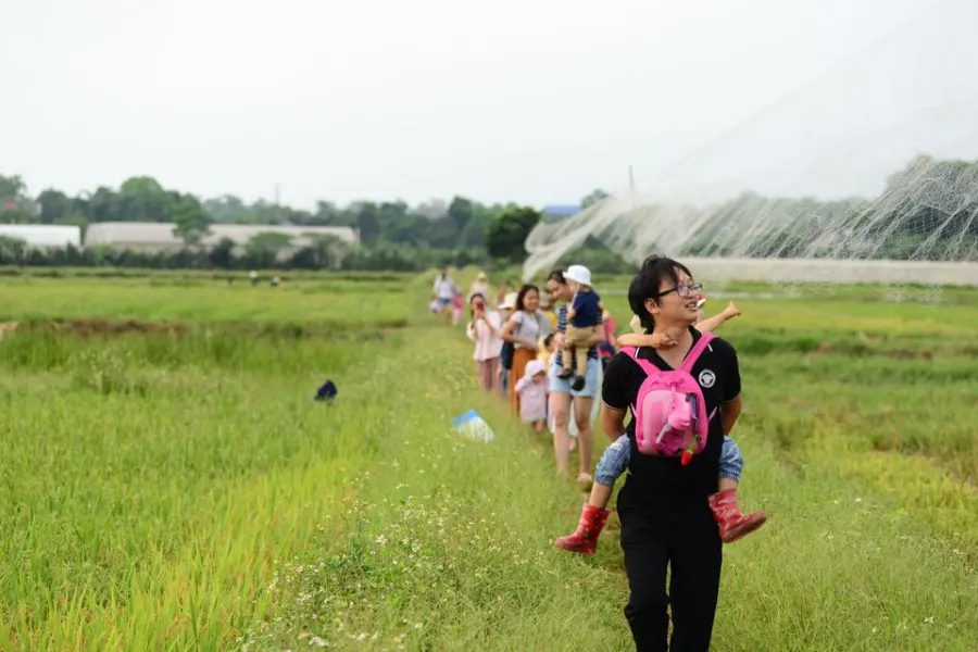 Trường mầm non Mầm Xanh Steiner - Inspired School