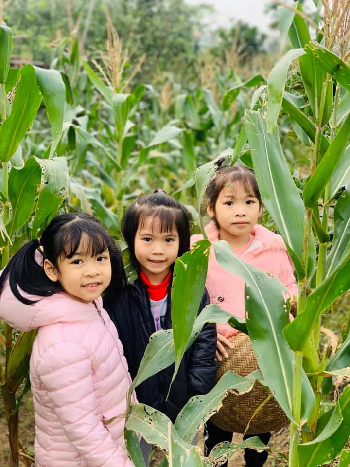 Mầm Non Song Ngữ Xuka - GrapeSEED Yên Khánh Ninh Bình