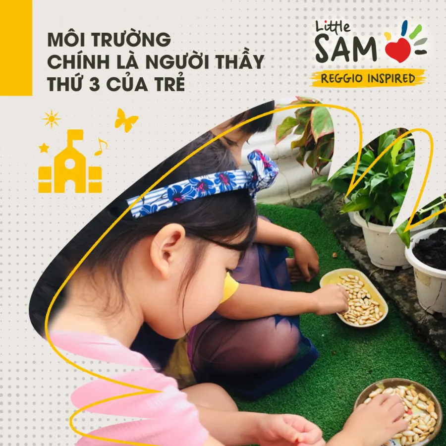 Trường Mầm non Song ngữ Little SAM - Phường 7 Q. Gò Vấp