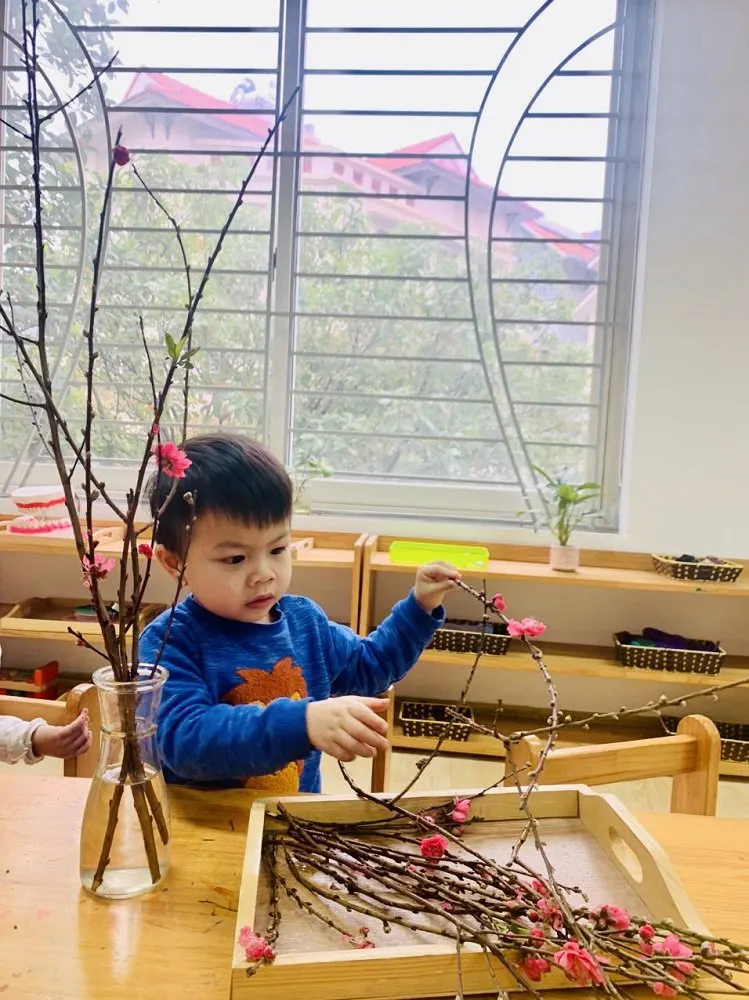 Học viện mầm non Khai Nguyên Montessori