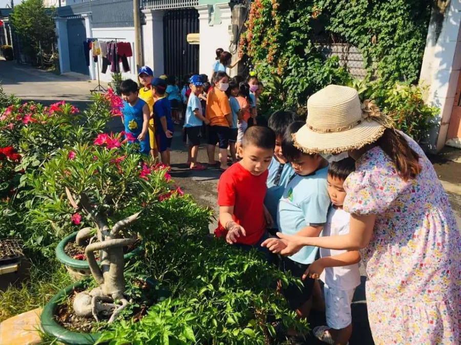 Trường mầm non Kim Cương Vàng