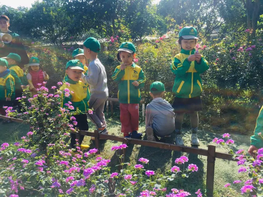 Trường mầm non Casa Đông Anh (Casa Đong Anh Montessori International School)