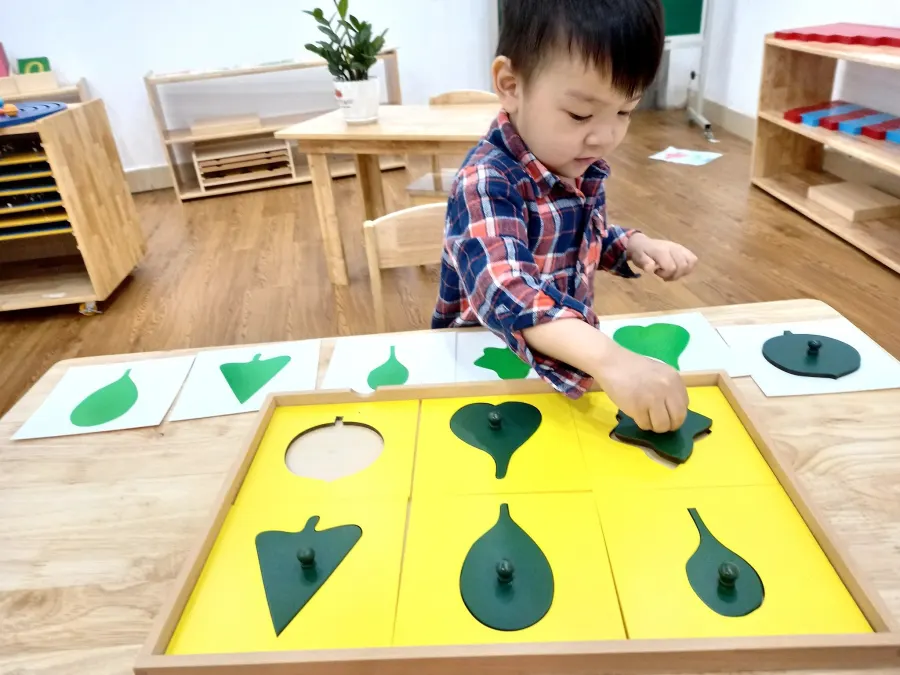 Trường Mầm Non Casa Montessori
