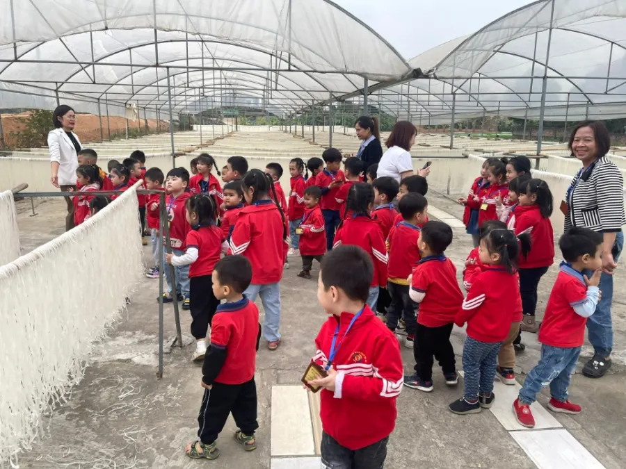 Mầm Non Tư Thục BiBi - P. Gia Cẩm, Việt Trì