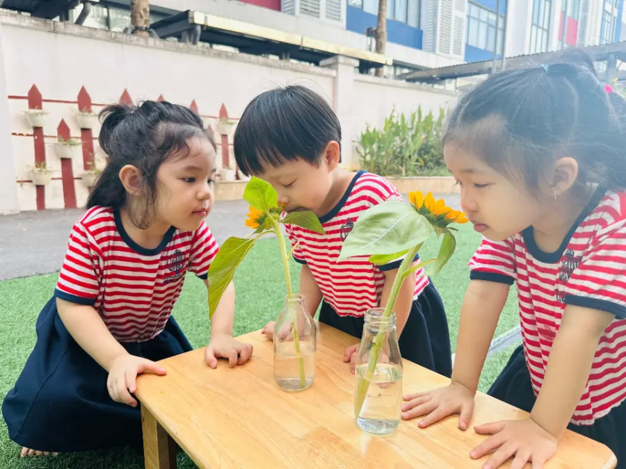 Hệ thống Trường Quốc tế Song ngữ Học viện Anh Quốc - UK Academy