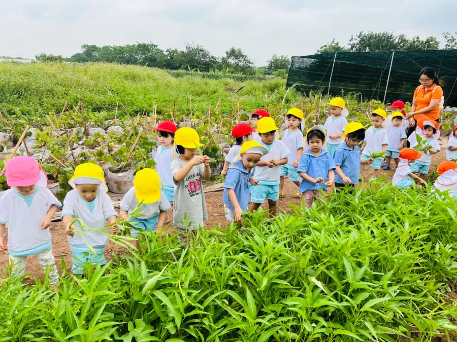 Mầm Non Hoa Mặt Trời (Himawari Preschool)
