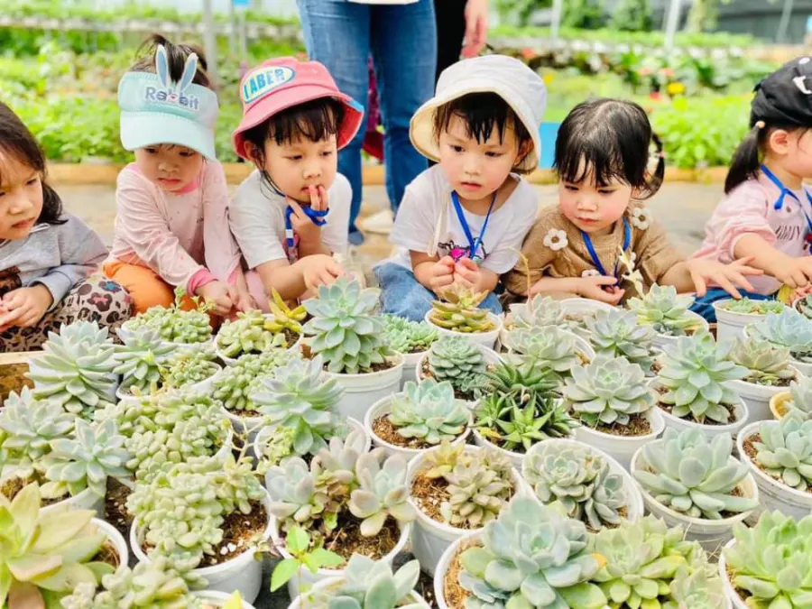 Trường Mầm Non Peter Ocean Park