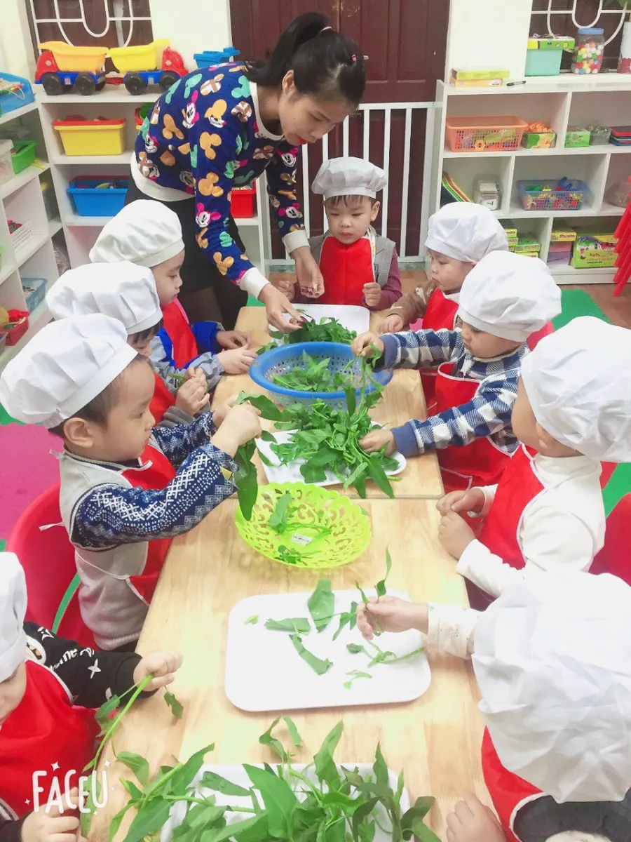 Trường Mầm Non Mai Vàng - Mai Động