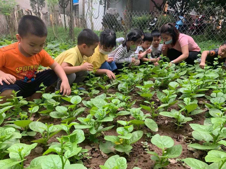Trường Mầm non Hoàng Gia Bảo - Chúc Sơn, Chương Mỹ