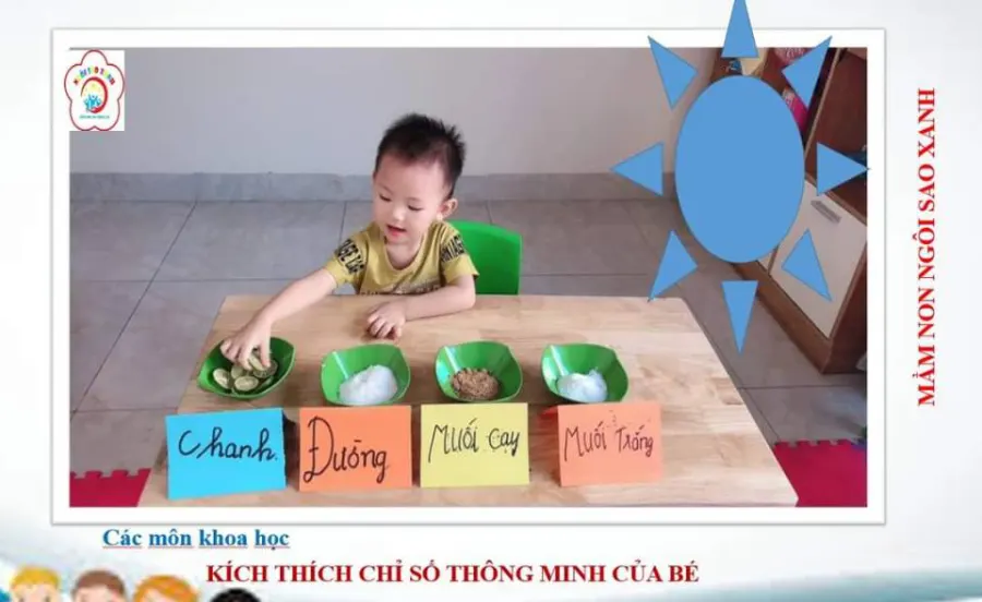 Trường mầm non Ngôi Sao Xanh (Green Stars)