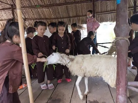 Mầm Non Song Ngữ Ánh Sáng (Apollo school) - Tân Đông Hiệp, Dĩ An