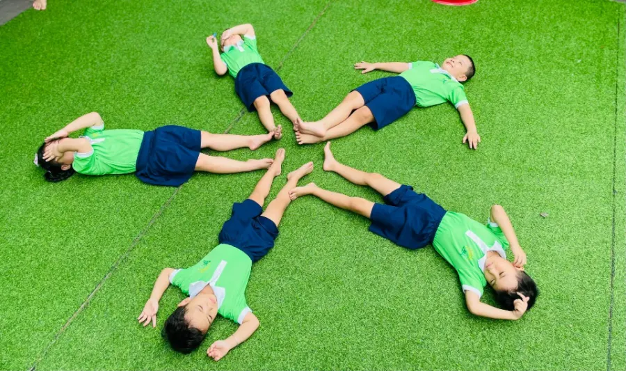 Mầm Non Hoa Ban Mai Xanh